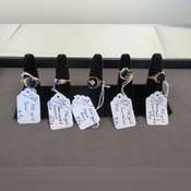Thumbnail image of IMG_0311.JPG