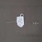 Thumbnail image of IMG_0310.JPG