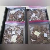 Thumbnail image of IMG_0350.JPG