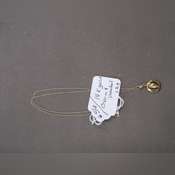 Thumbnail image of IMG_0313.JPG