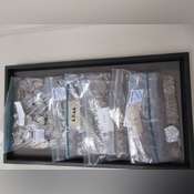 Thumbnail image of IMG_0354.JPG