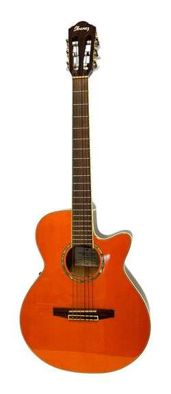 Ibanez AEG10NE Classical Acoustic Electric Guitar