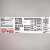 Thumbnail image of 48397407.pdf