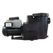 STAR Water Systems ENERGY STAR Pool Pump 1.5-HP Programmable Pool Pump - New!