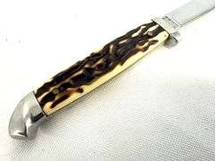 Winchester 6.13" Bird & Trout Imitation Stag Stainless Fixed Blade Knife
